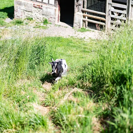 Le Clos De Grace Équemauville