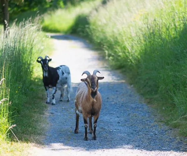 Le Clos De Grace Bed & Breakfast 4*