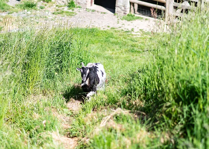Le Clos De Grace Équemauville